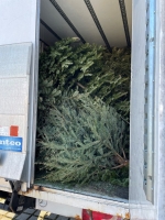 Christbaumaktion 2023